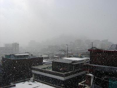 ���U�̐�i�F